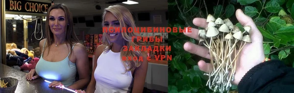 не бодяженный Бородино